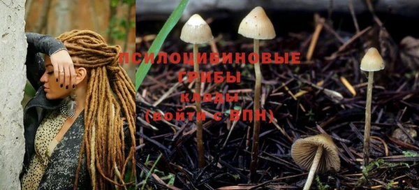 jwh Белокуриха